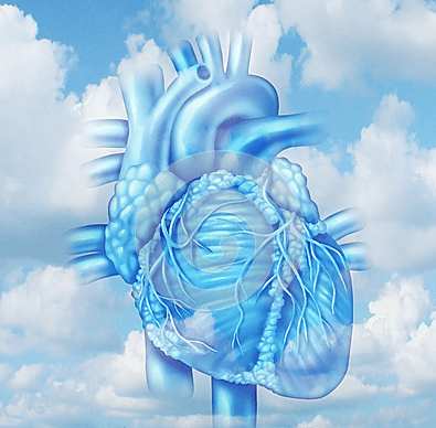 blood flow better with lean belly breakthrough system